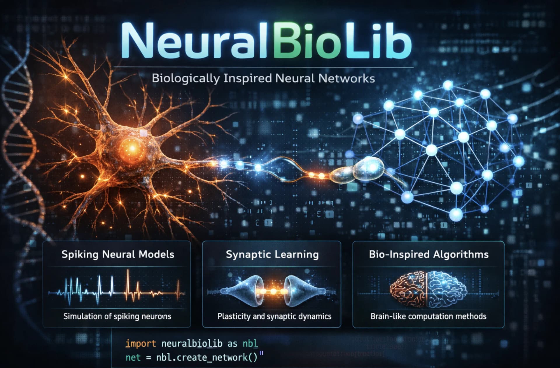 Live Neurons
